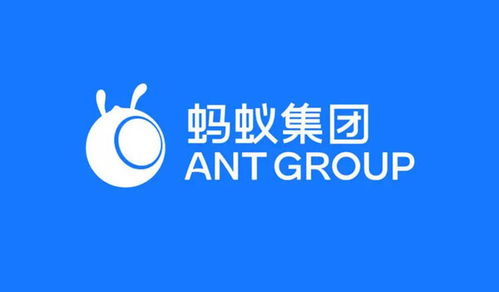 螞蟻集團在渝成立數字天螞公司，注冊資本1億元加碼網絡技術服務